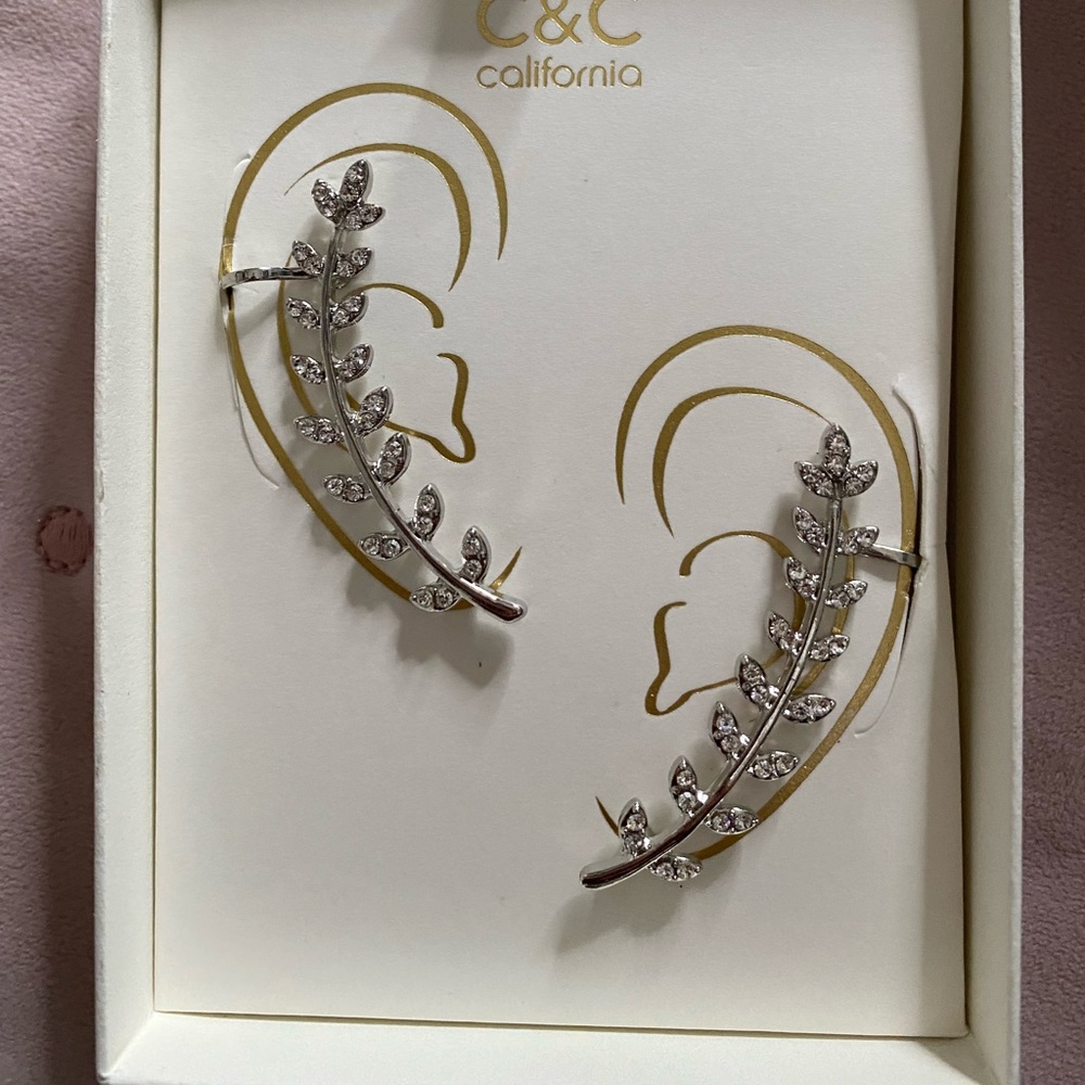 Beautiful earrings